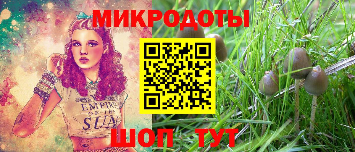 Псилоцибиновые грибы ЛСД Новошахтинск