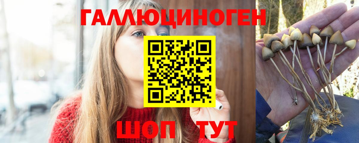 где продают наркотики  Вход с VPN  Новошахтинск  Галлюциногенные грибы ЛСД 